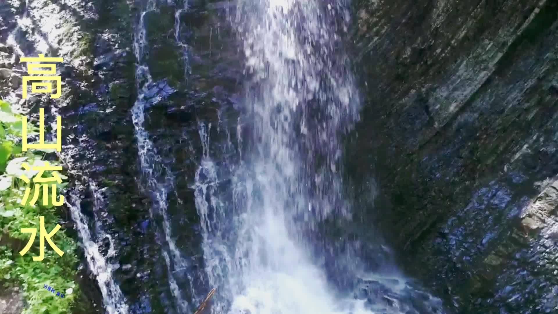 危险森林大逃脱